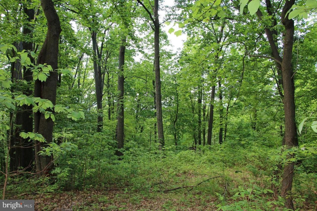 897 Helms Road photo 50