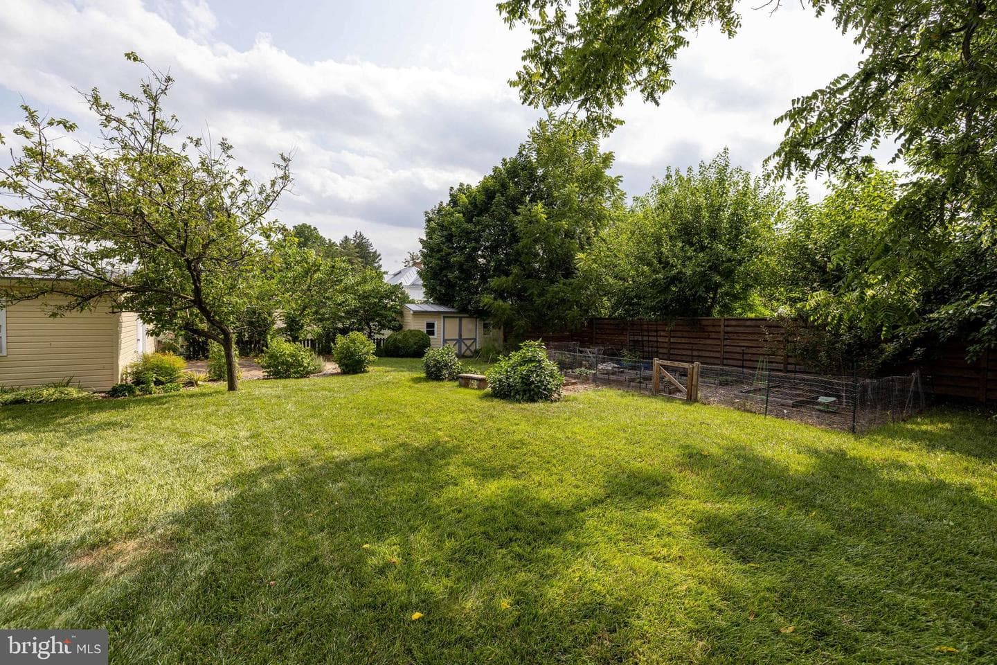116 Cave Street photo 106