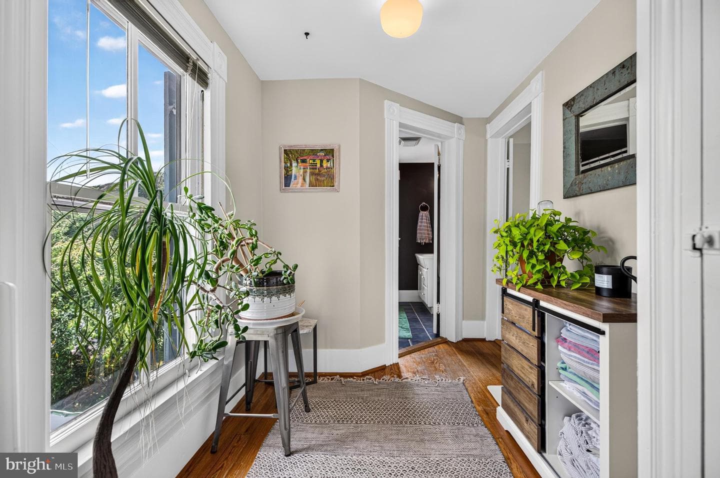 116 Cave Street photo 65