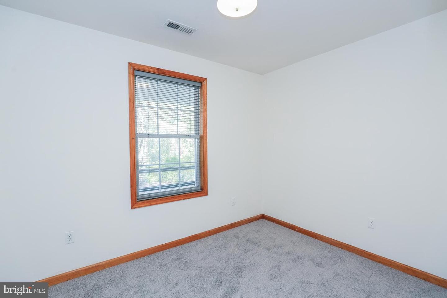 202 N Park Drive photo 19