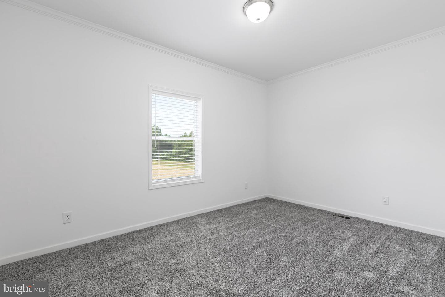 931 Levi Road photo 20
