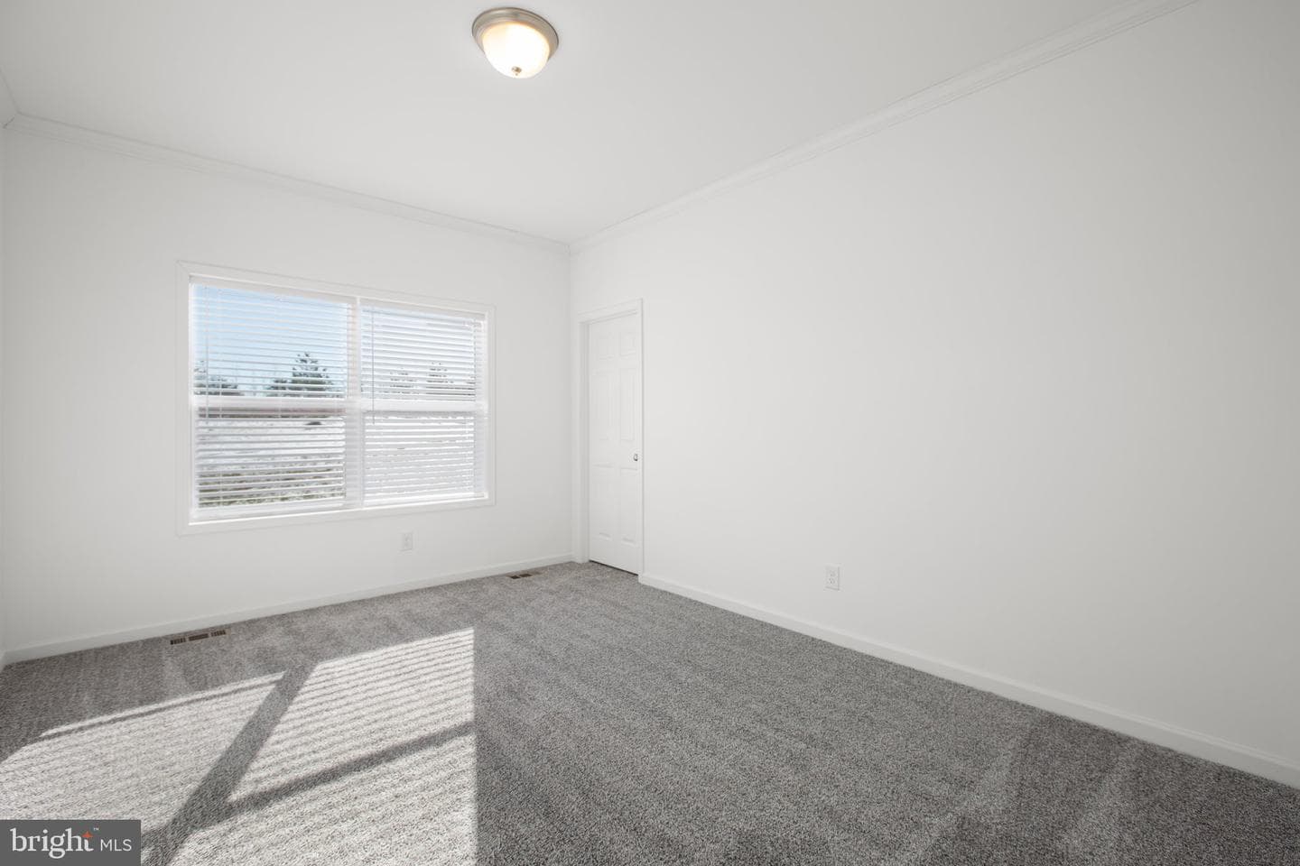 1005 Levi Road photo 19