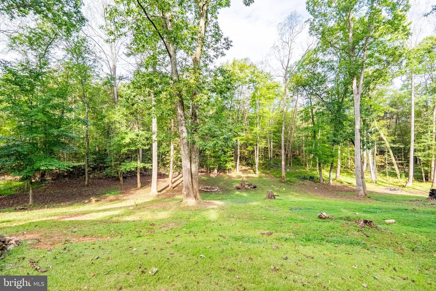 14881 Rockford School Road photo 44