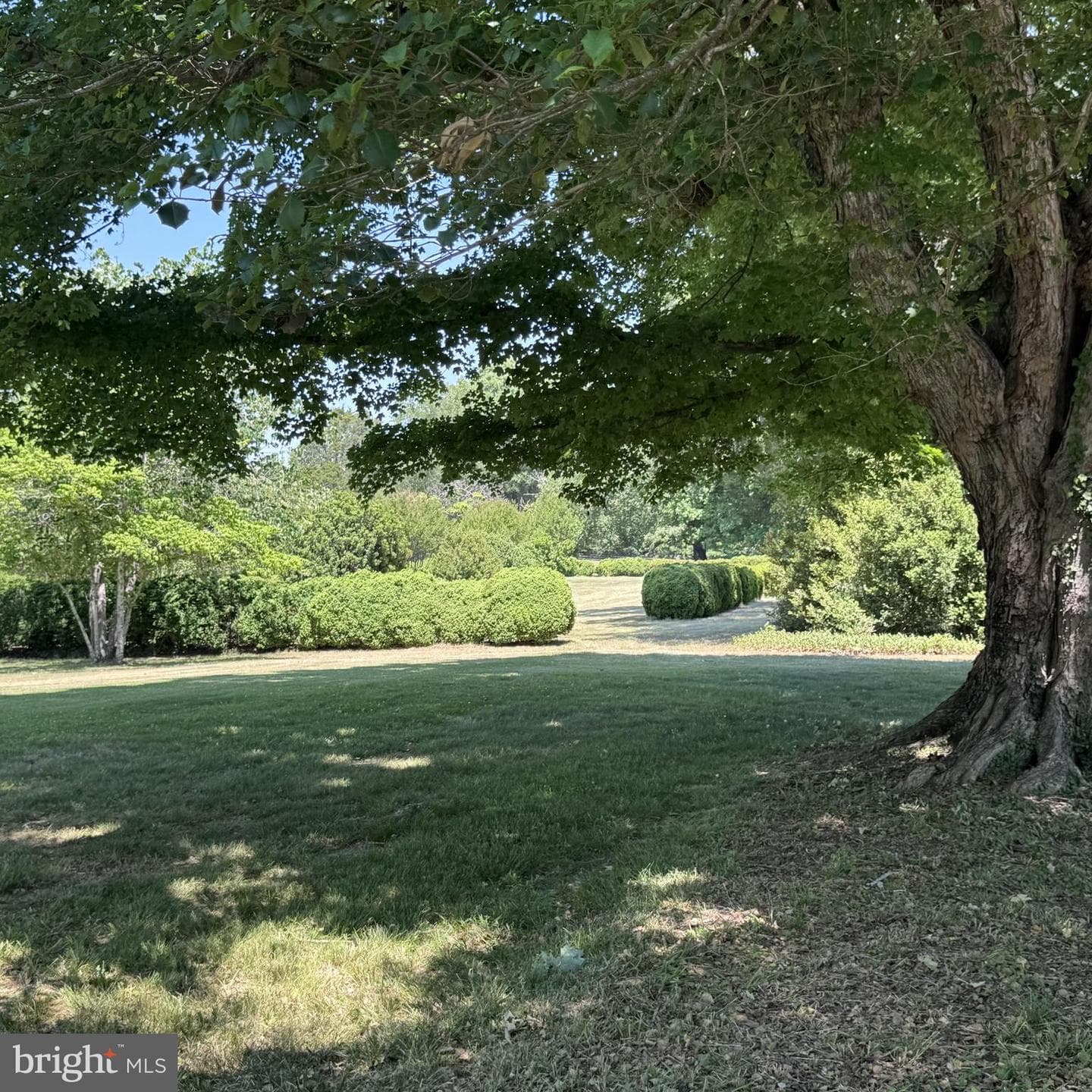 2345 Berry Hill Road photo 104