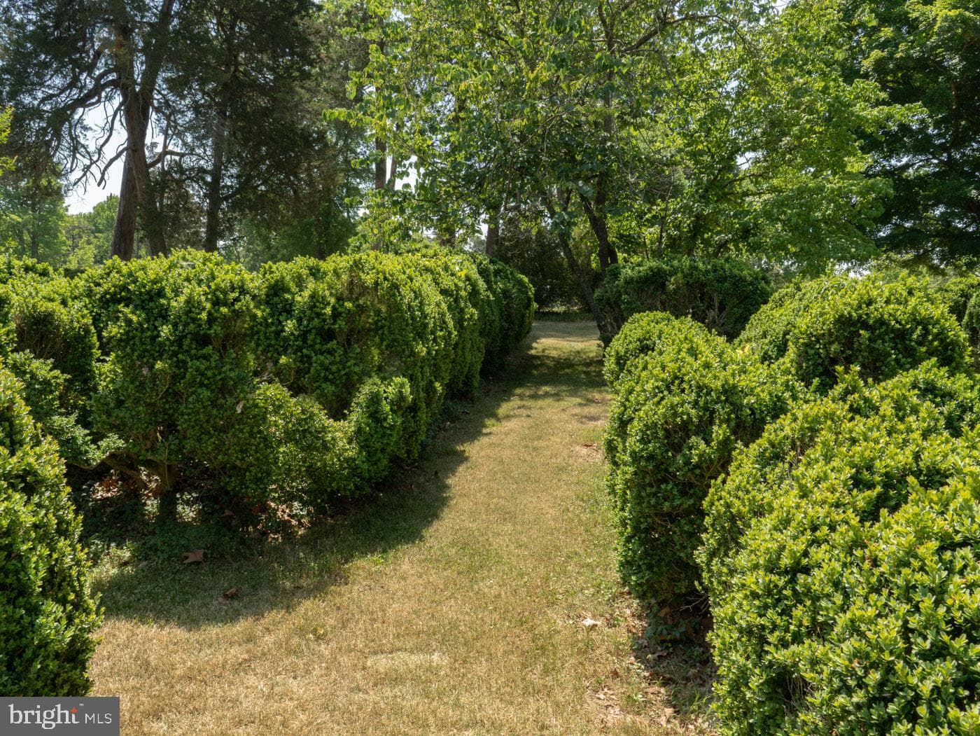 2345 Berry Hill Road photo 136
