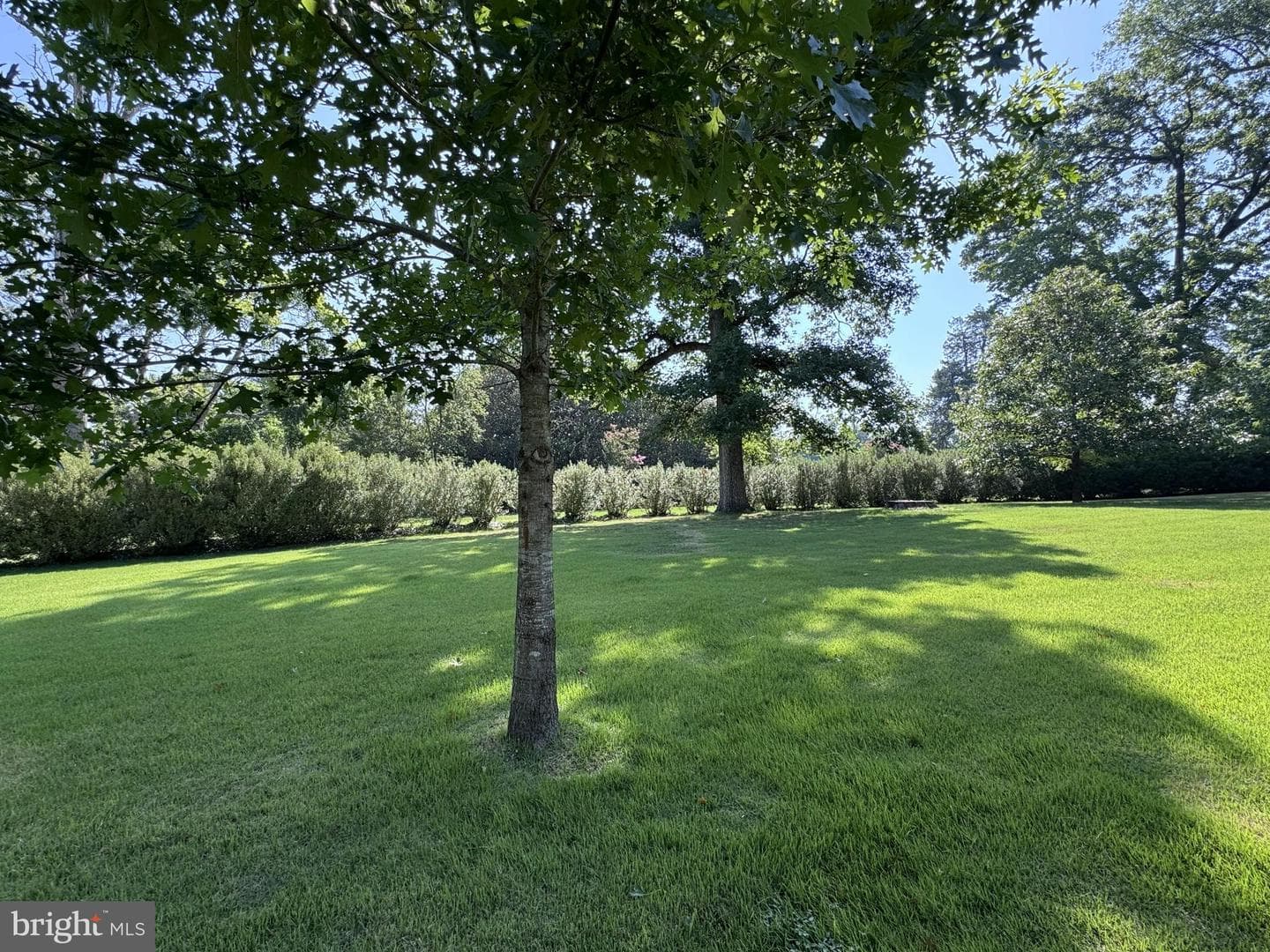 2345 Berry Hill Road photo 139