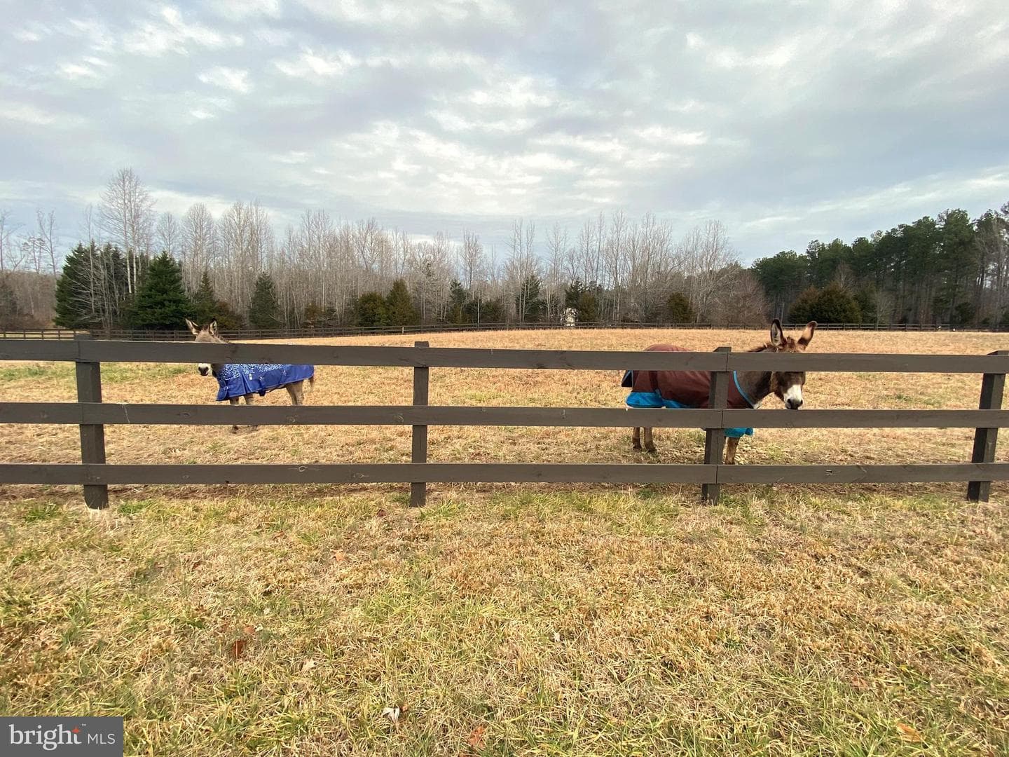 2271 Ridge Road photo 30