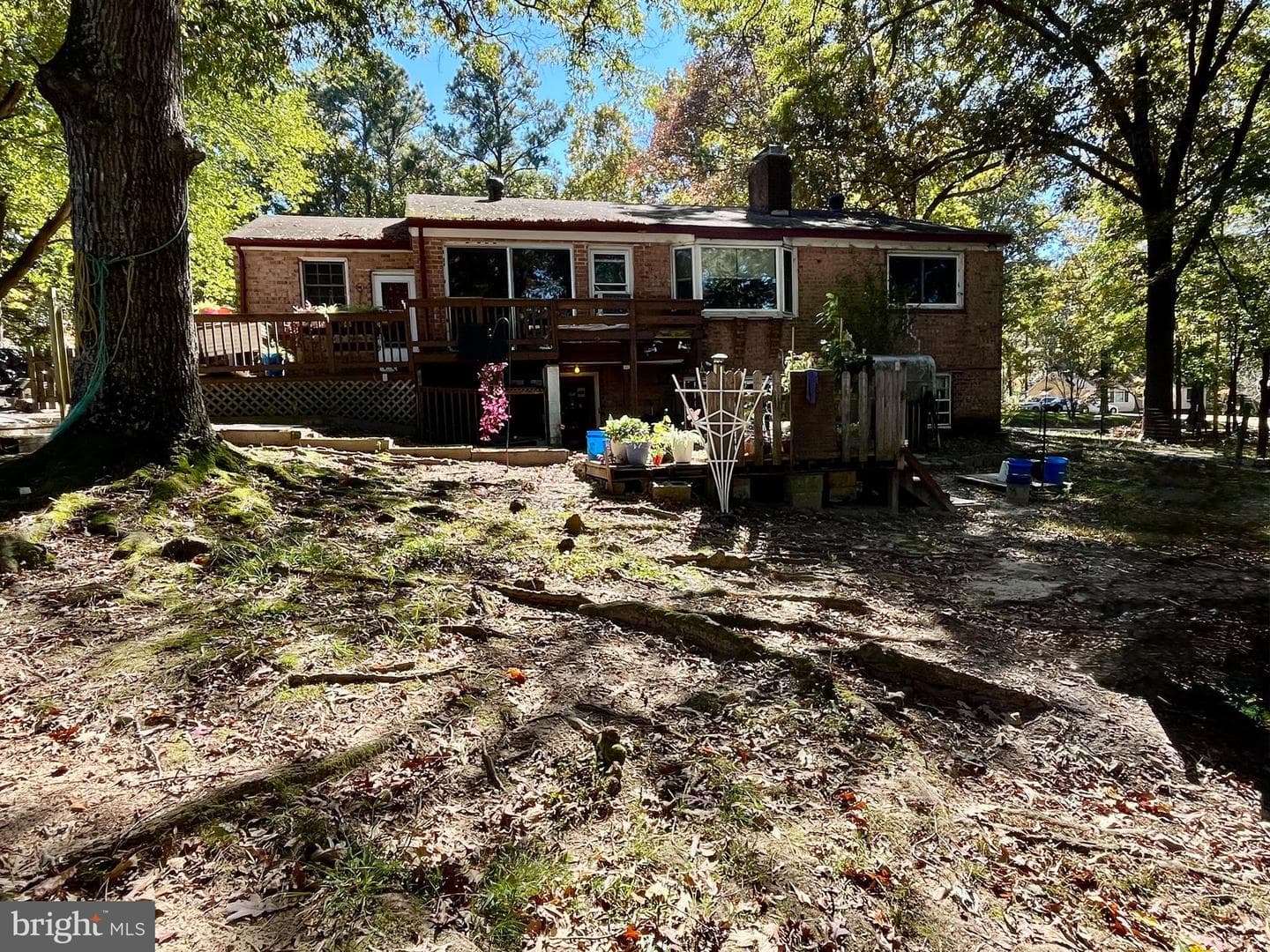 4302 Baxter Road photo 15