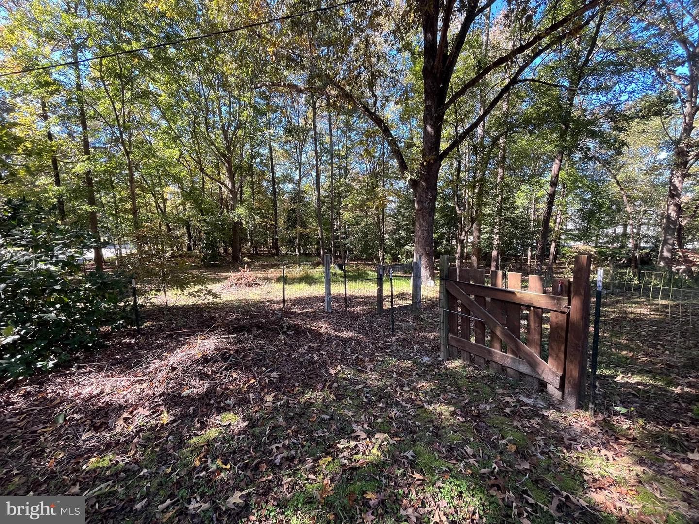 4302 Baxter Road photo 21