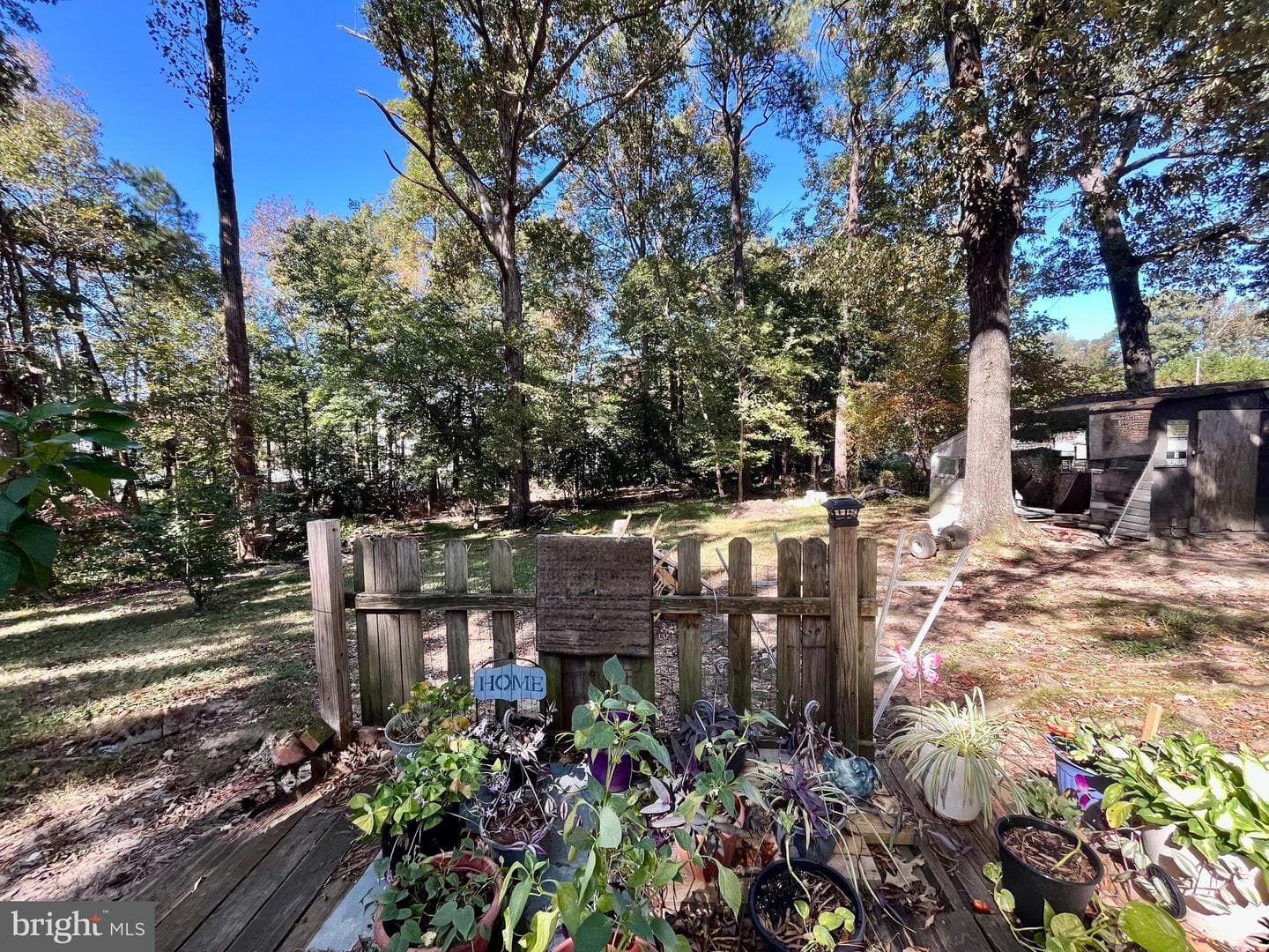 4302 Baxter Road photo 4
