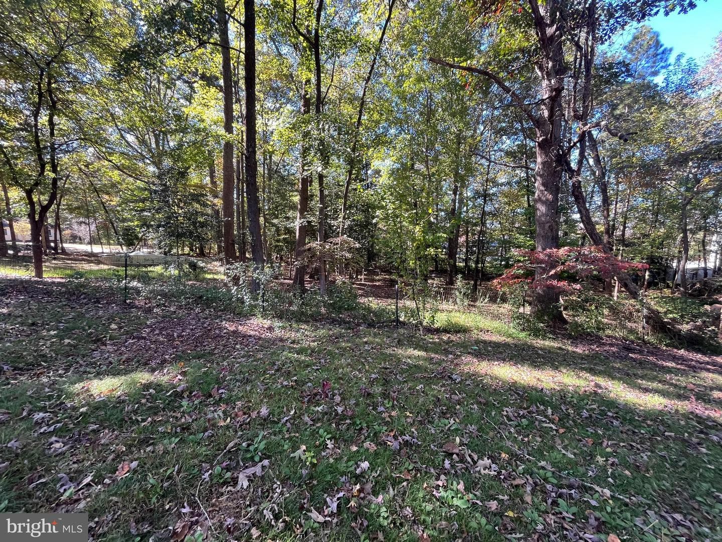 4302 Baxter Road photo 8