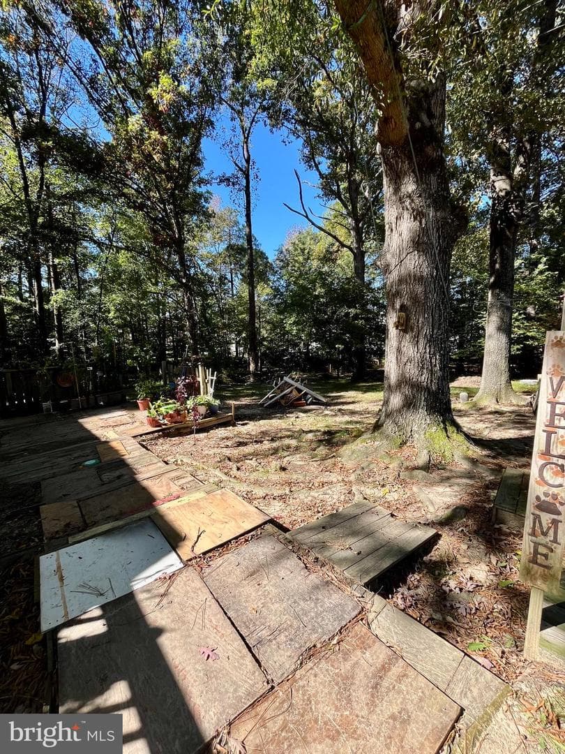 4302 Baxter Road photo 9