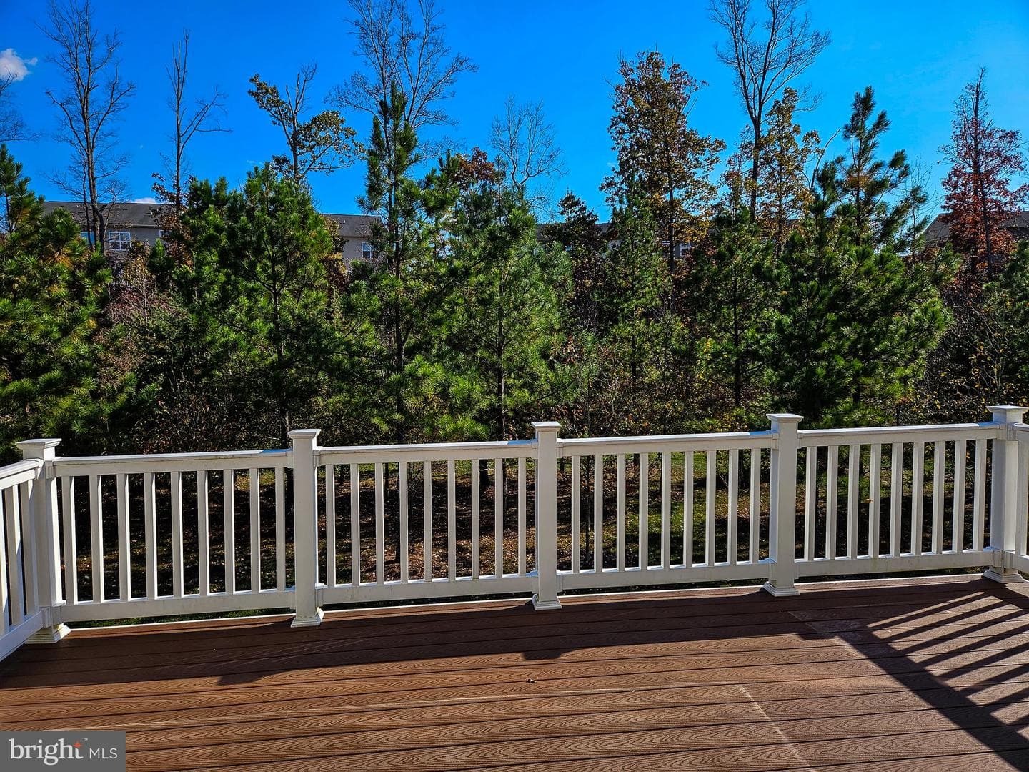 9127 Balaton Lake Lane photo 14