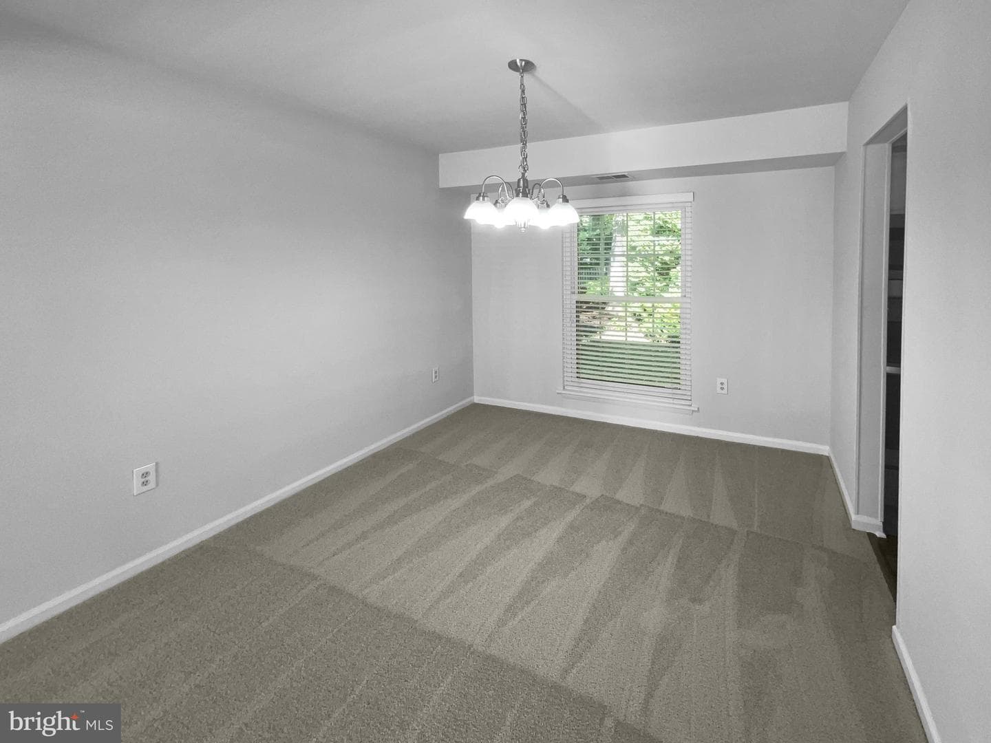 4006 Buckingham Court photo 12