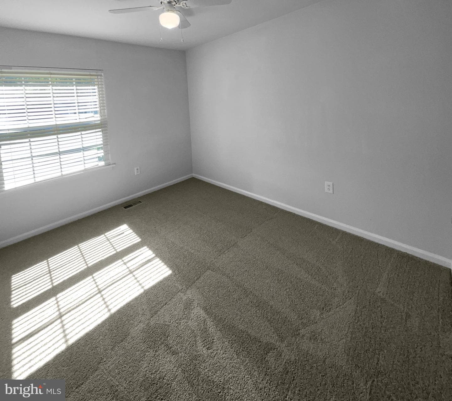 4006 Buckingham Court photo 19