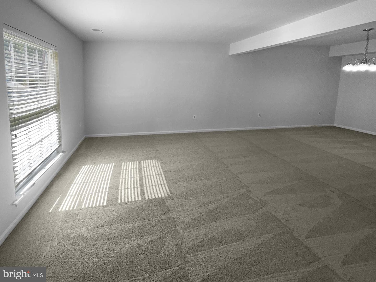 4006 Buckingham Court photo 5
