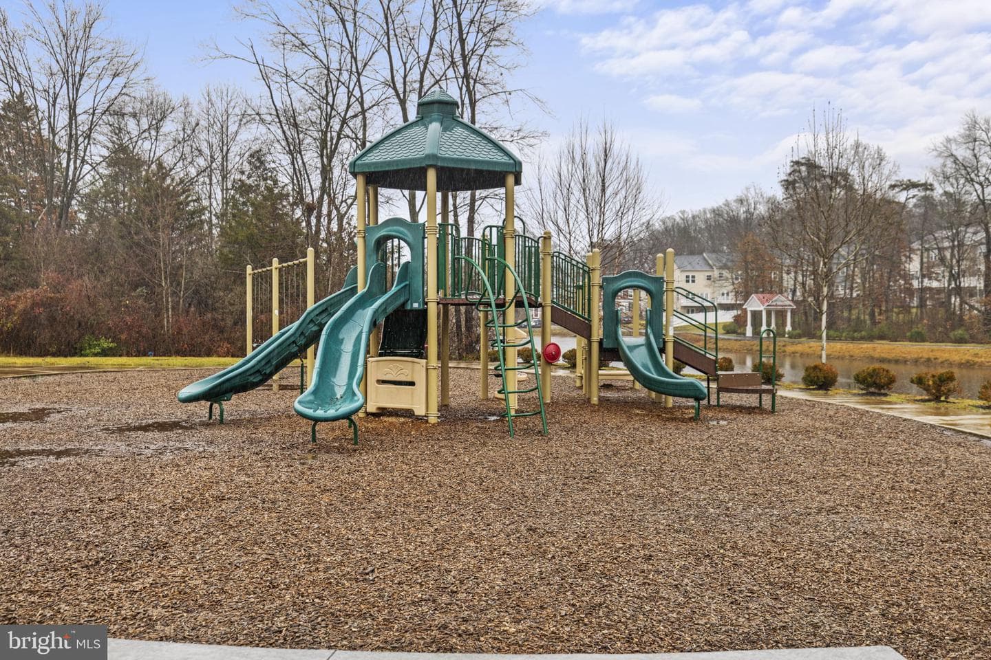 10561 Waterbury Woods Way photo 39