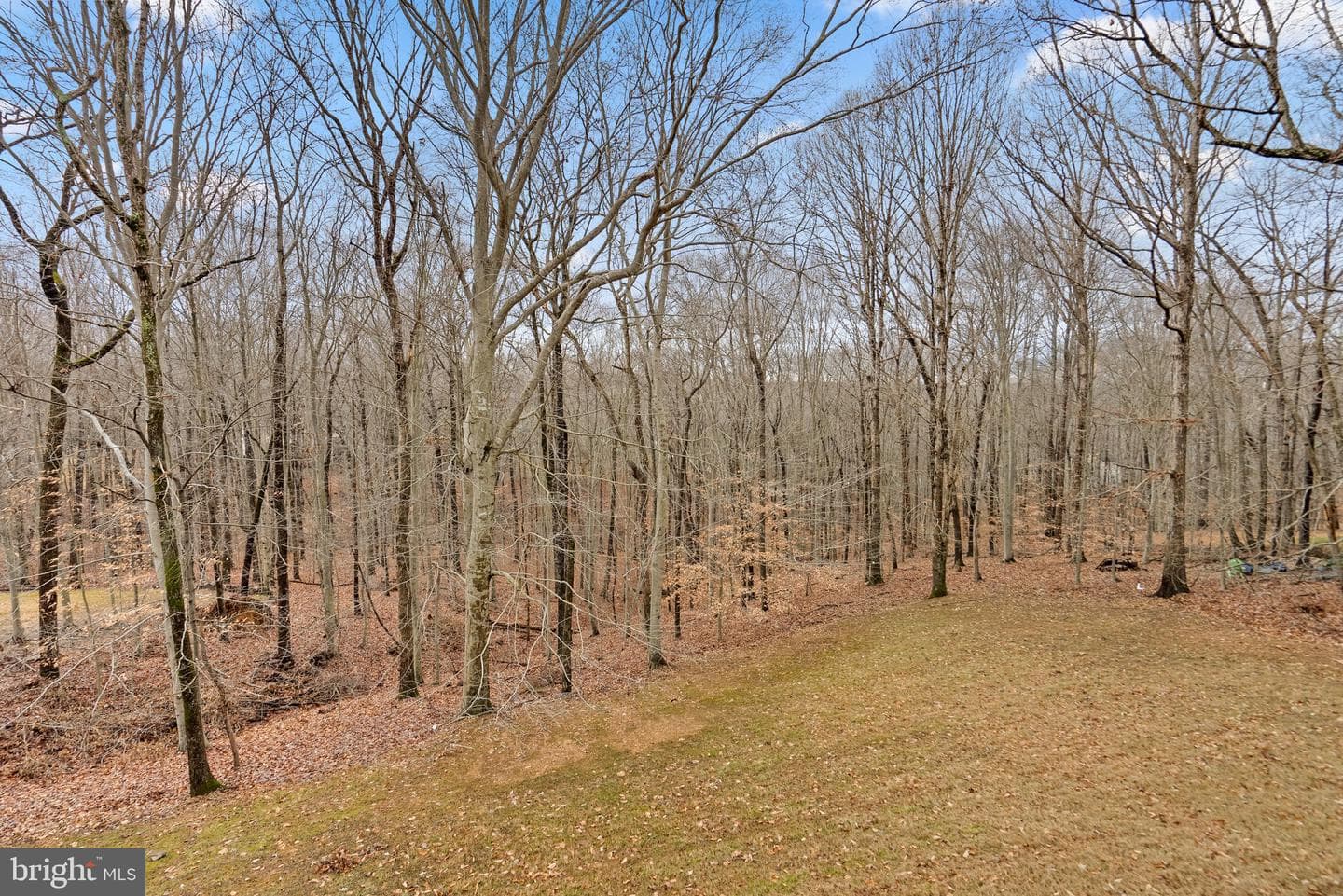 4923 Wolf Run Shoals Road photo 55