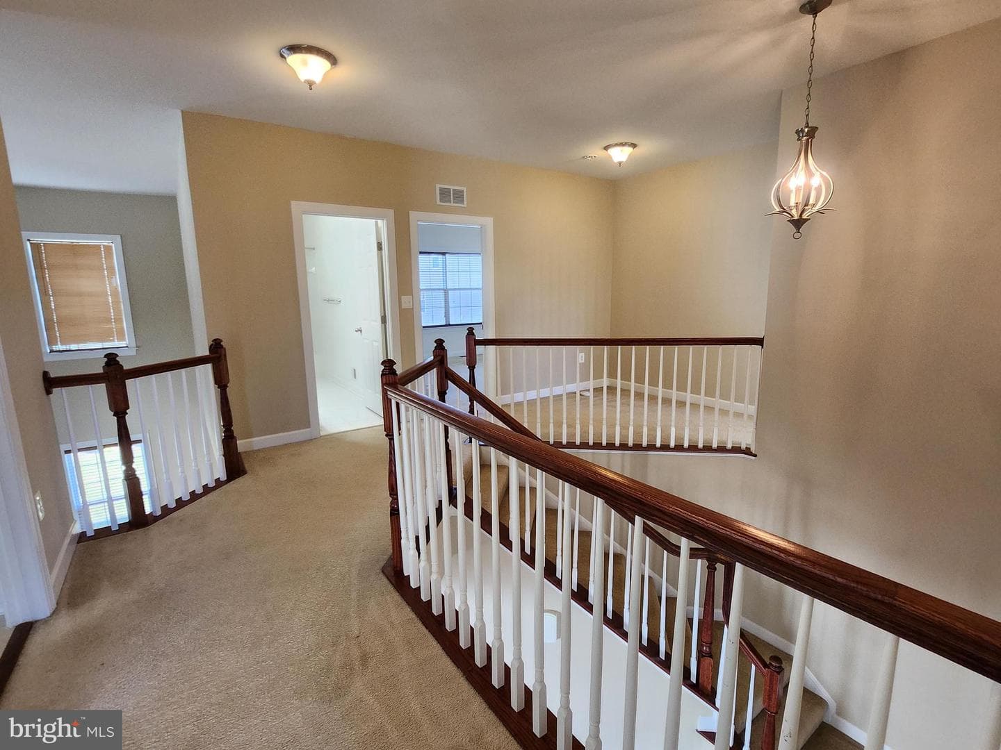 14943 Spriggs Tree Lane photo 3