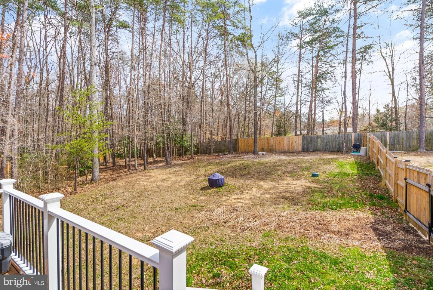 8102 Ebert Drive photo 74