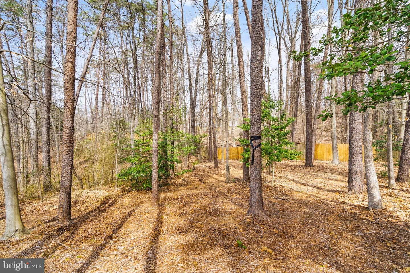 8102 Ebert Drive photo 77