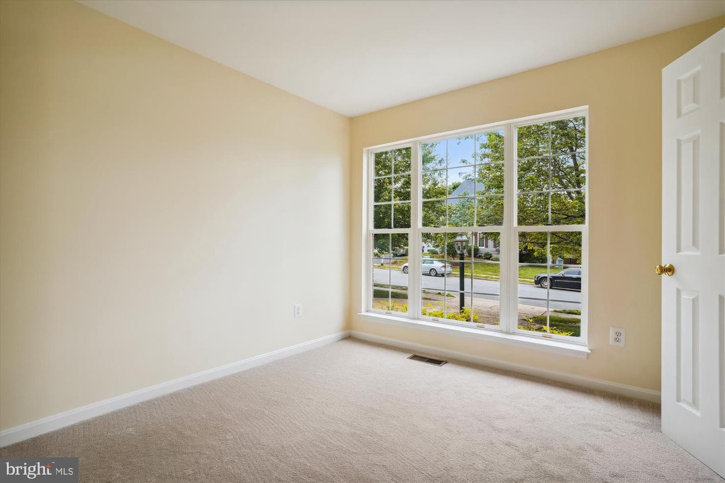 16966 Cass Brook Lane photo 10