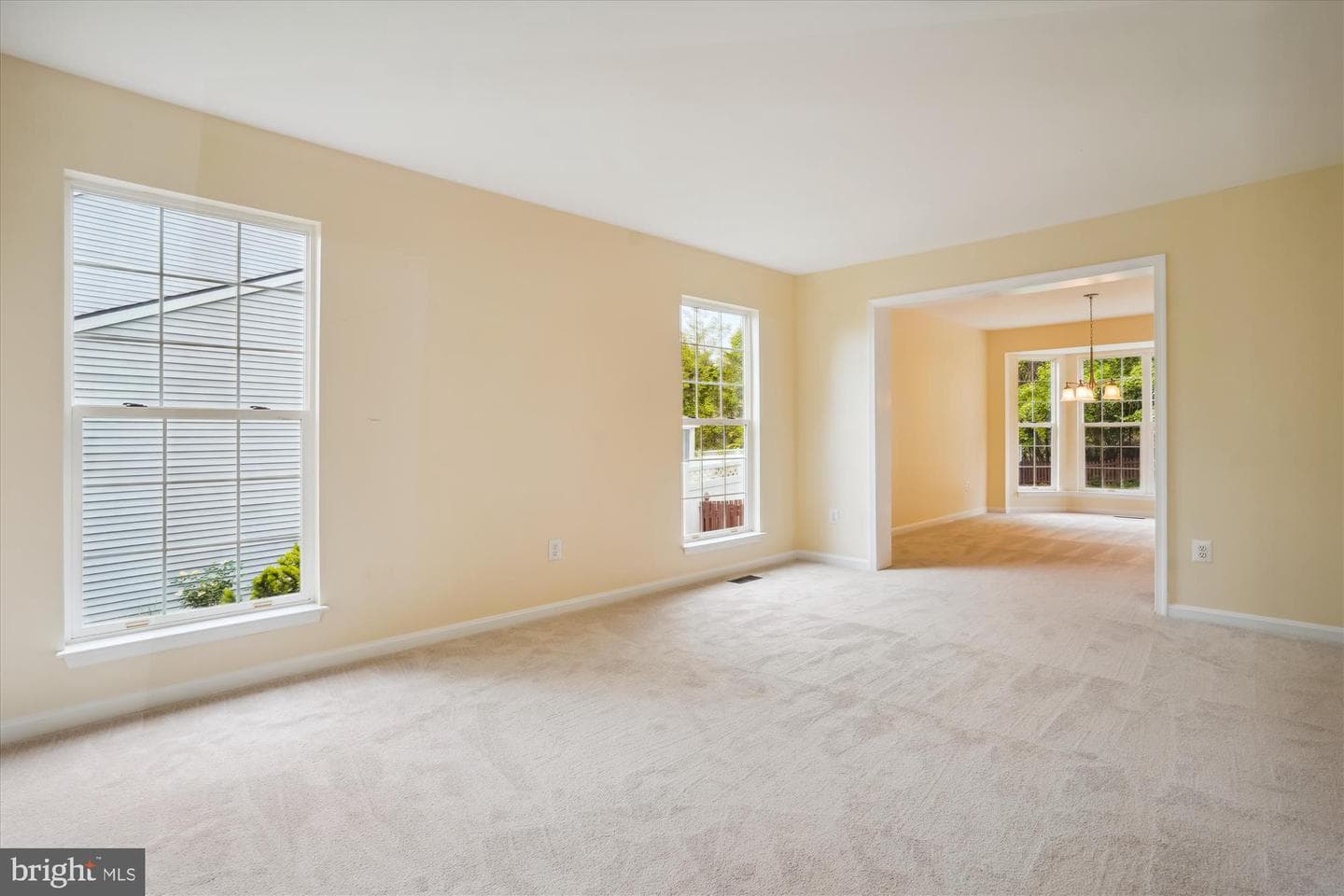 16966 Cass Brook Lane photo 15