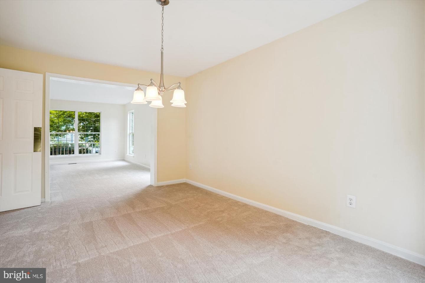 16966 Cass Brook Lane photo 16