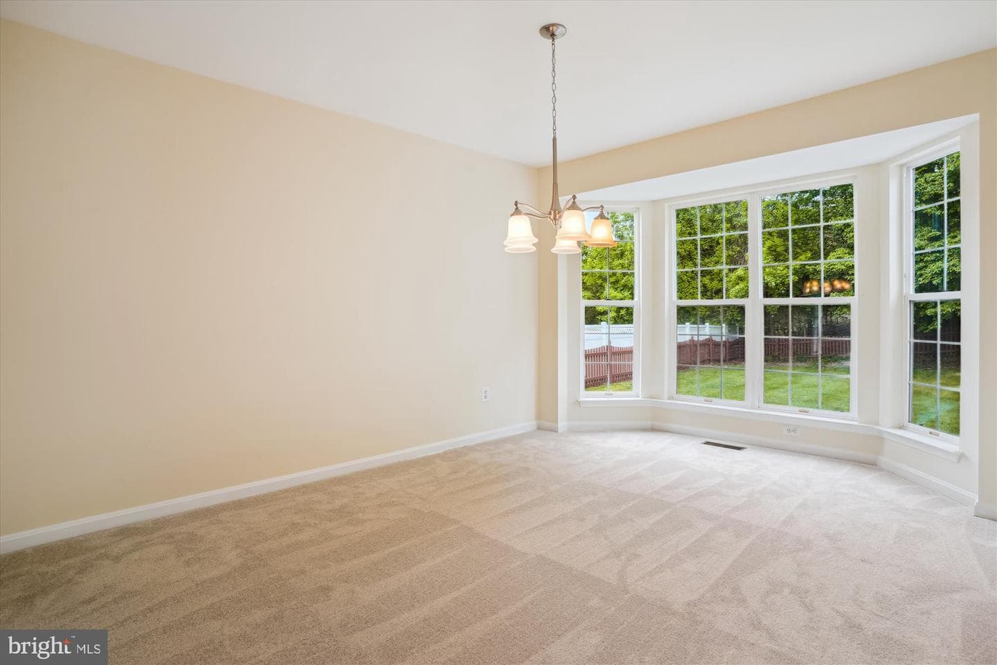 16966 Cass Brook Lane photo 17