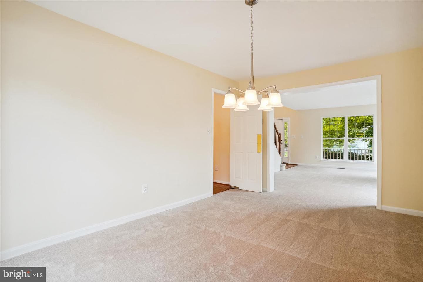 16966 Cass Brook Lane photo 18