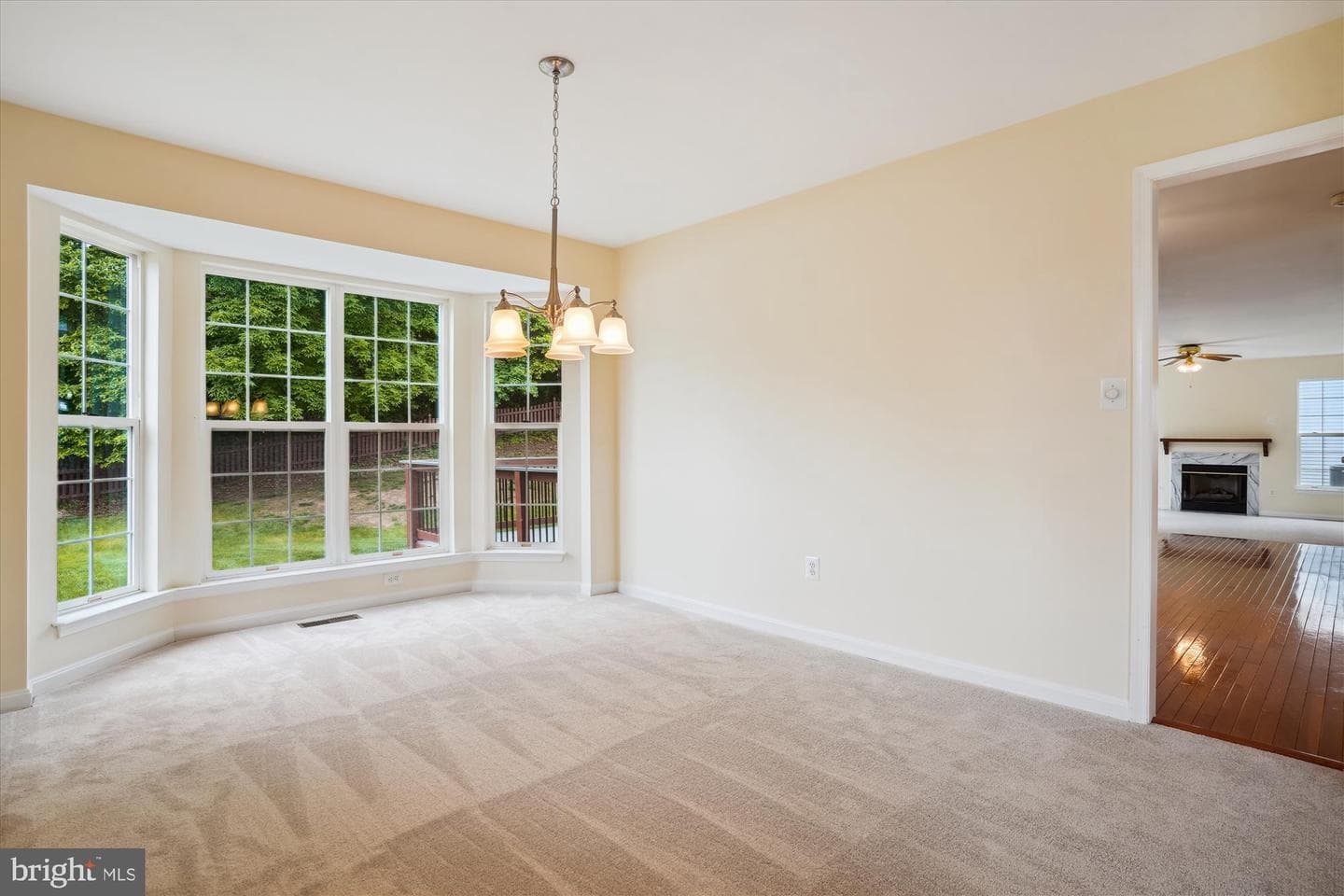 16966 Cass Brook Lane photo 19