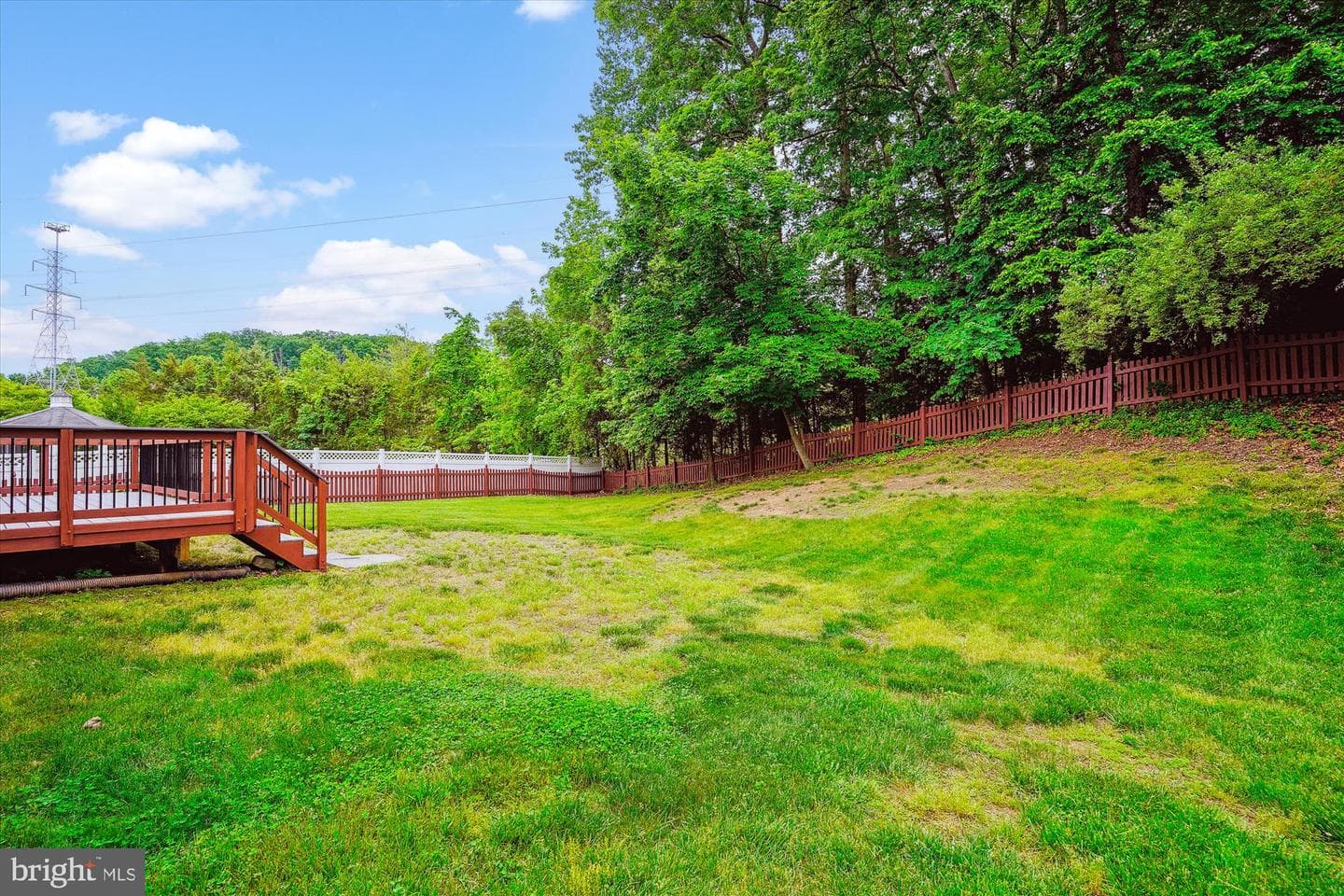 16966 Cass Brook Lane photo 33