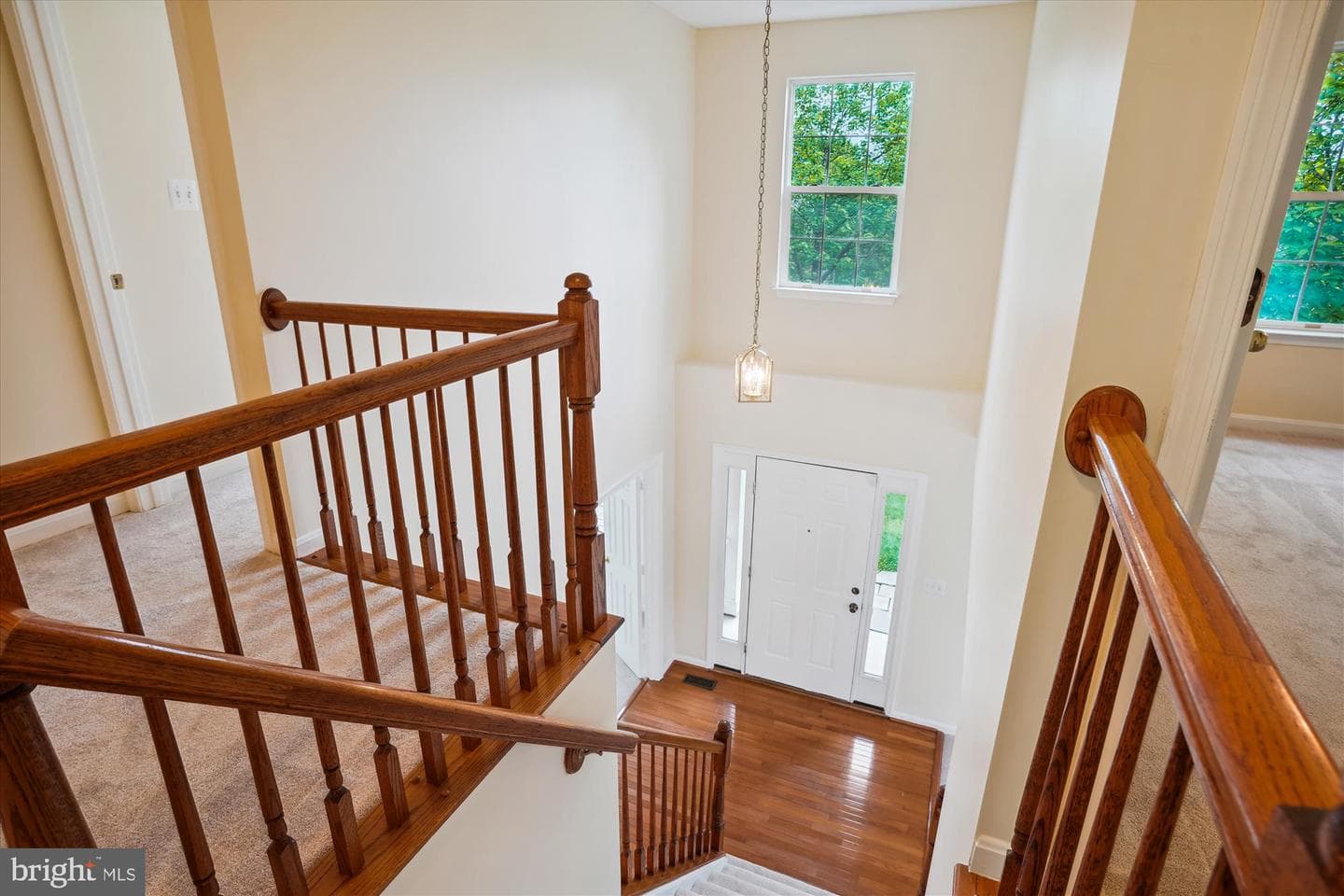 16966 Cass Brook Lane photo 42