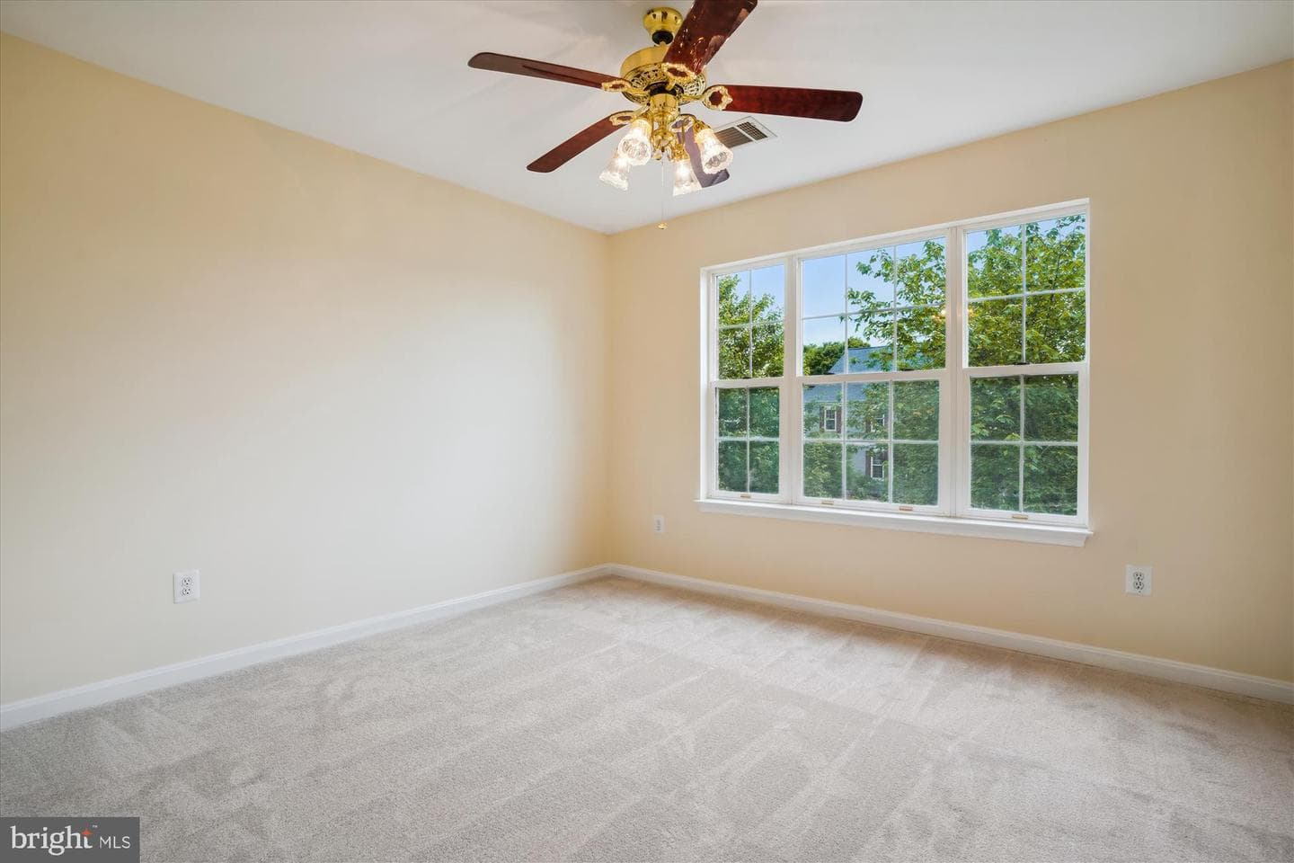 16966 Cass Brook Lane photo 53