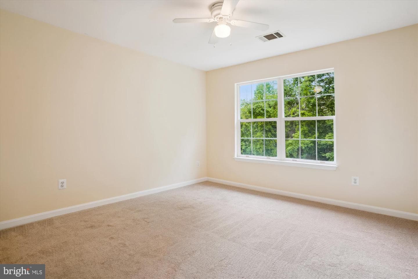 16966 Cass Brook Lane photo 58