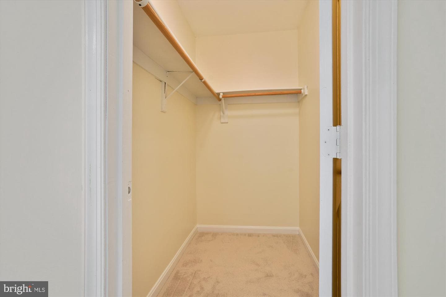 16966 Cass Brook Lane photo 59