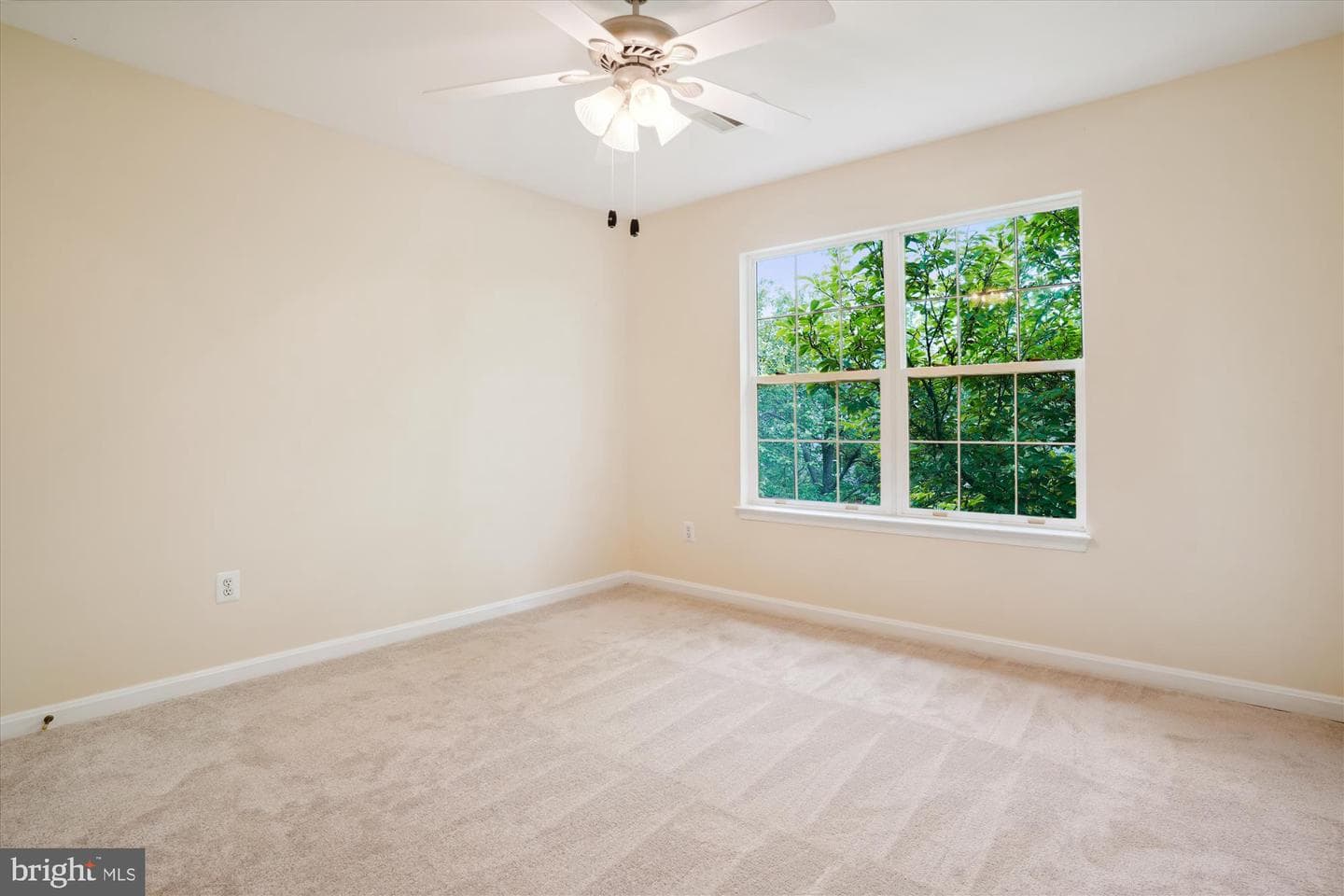 16966 Cass Brook Lane photo 61