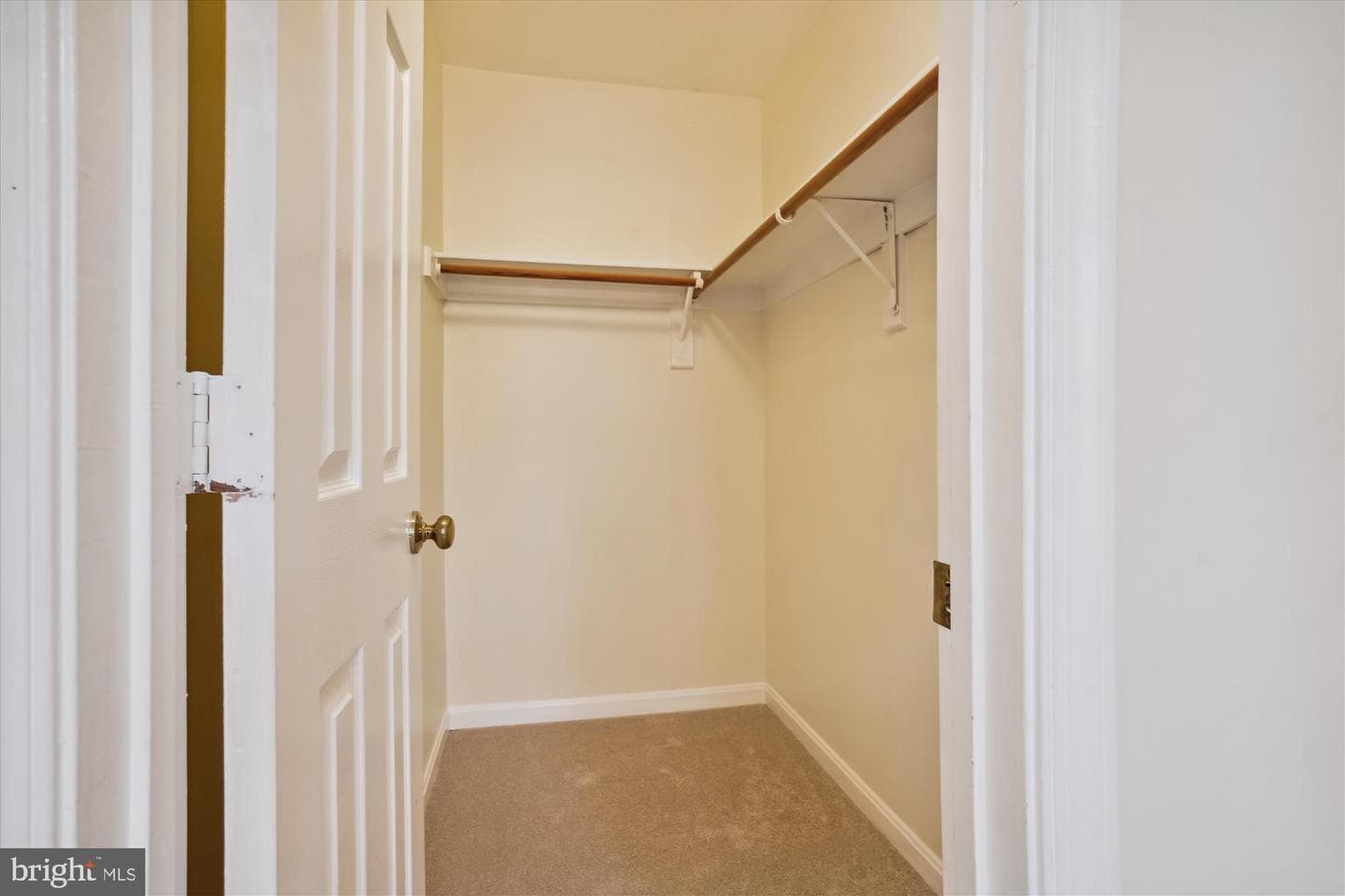 16966 Cass Brook Lane photo 63