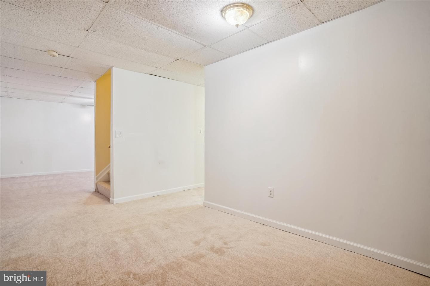 16966 Cass Brook Lane photo 66