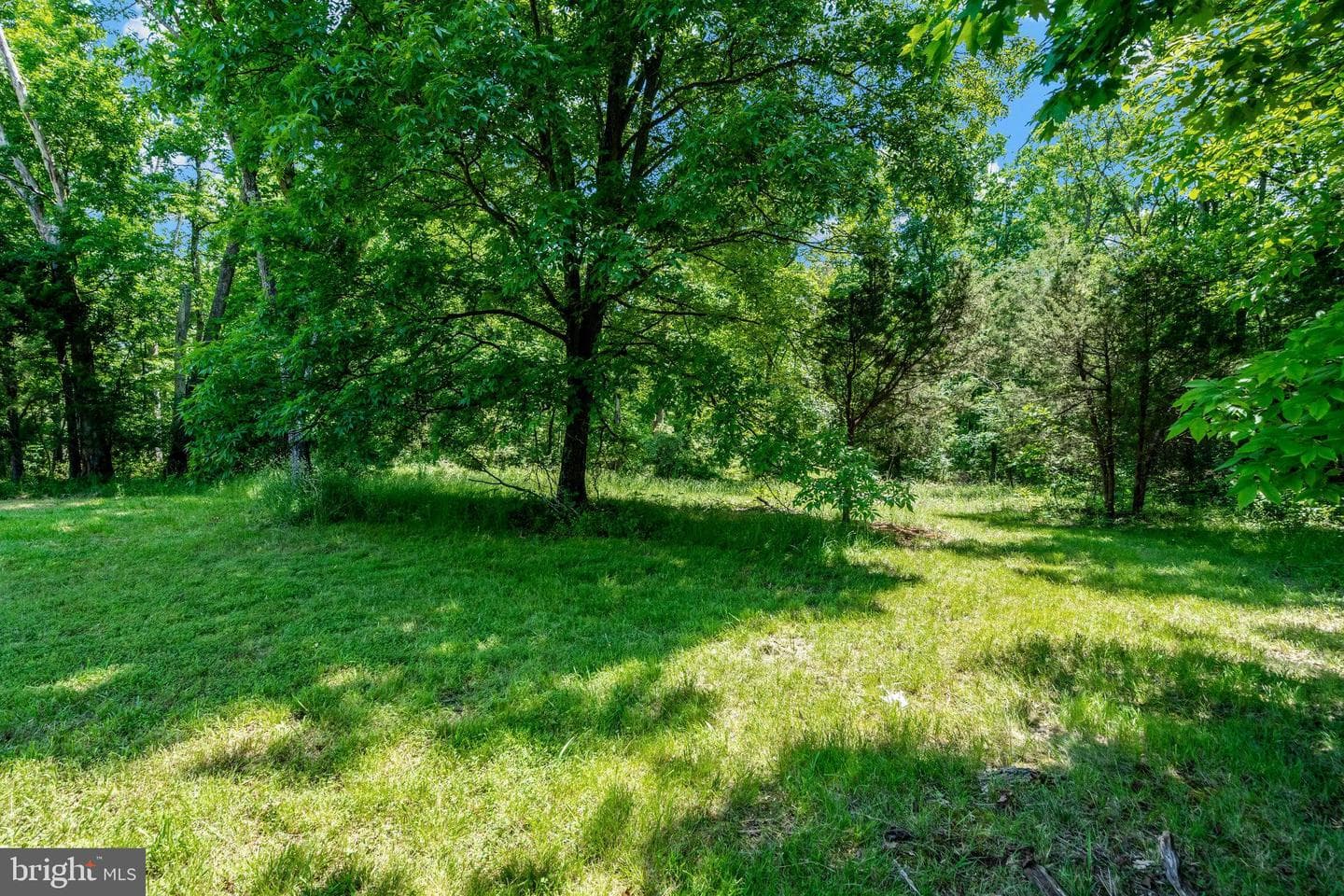 14085 Fleetwood Drive photo 69
