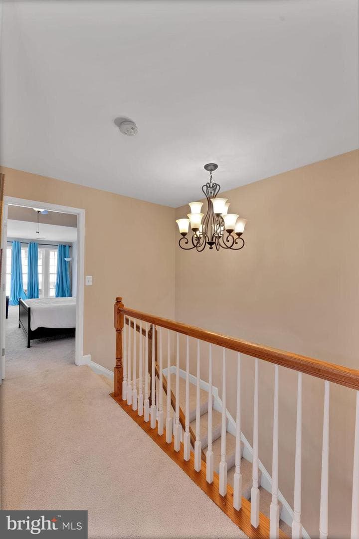 2207 Greywing Street photo 53