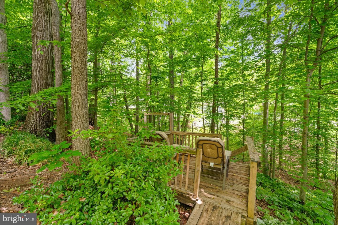 4673 Timber Ridge Drive photo 56