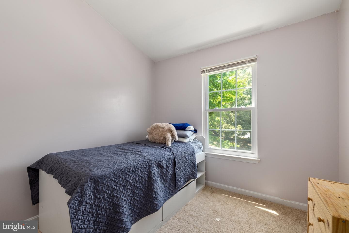 14905 Feeder Lane photo 19