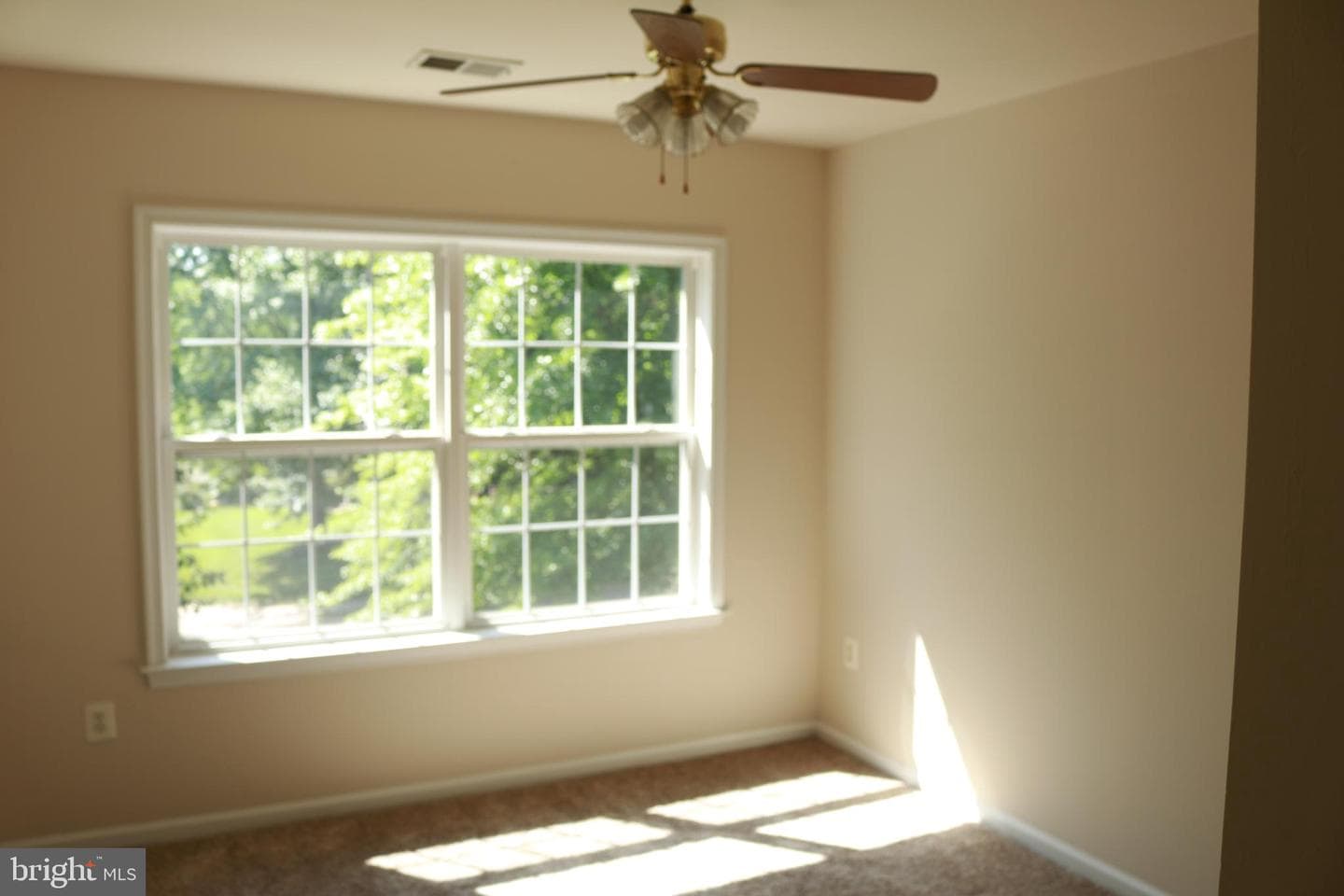 16675 Leocrie Place photo 28