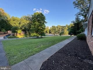 10300 Greystone Rd photo 5