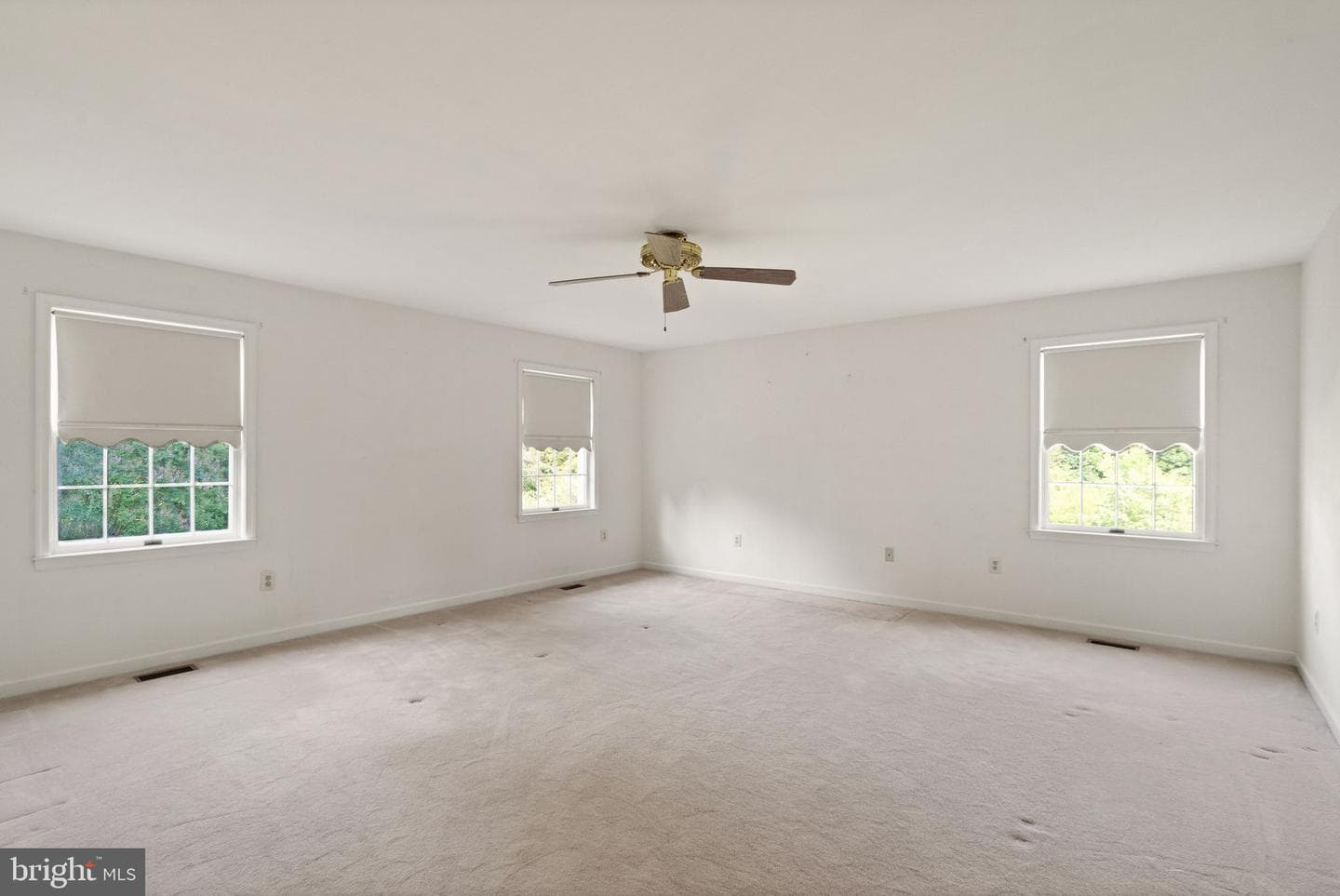 7900 Guy Drive photo 24