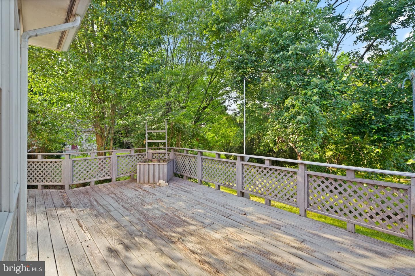 7900 Guy Drive photo 59
