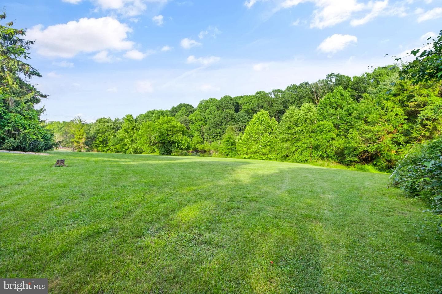 7900 Guy Drive photo 68