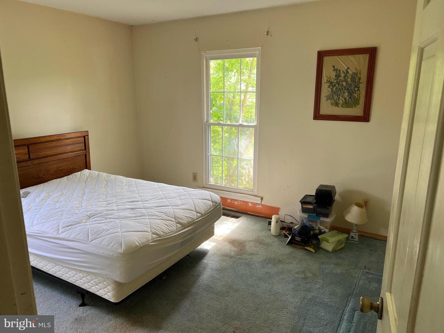 11602 Reid Lane photo 8