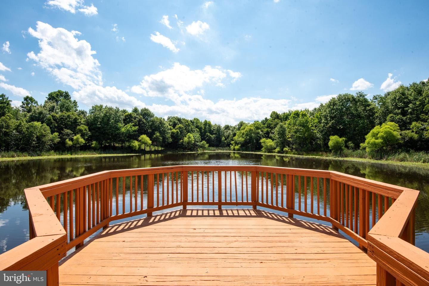 5792 Amelia Springs Circle photo 49